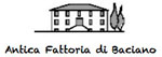 Fattoria di Baciano Logo